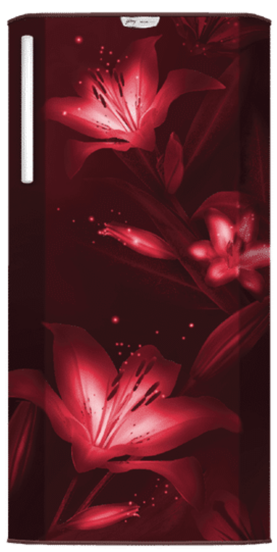 Godrej 511 L 2 Star Frost Free Refrigerator